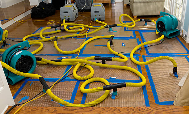 Professional Crawl Space Water Removal technician working in Dunlevy, PA